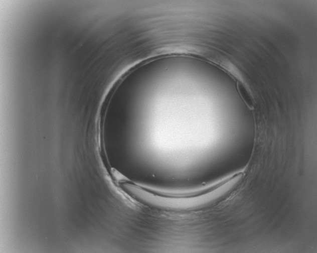 X0000063491132200602031945