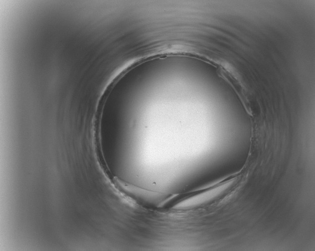 X0000063491134200602031945