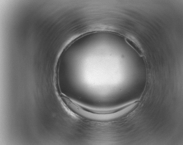 X0000063491136200602031945