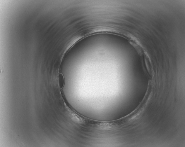 X0000063491137200602031945