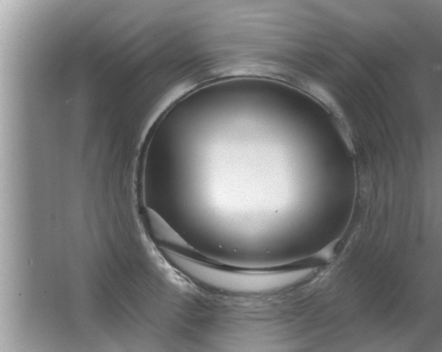 X0000063491138200602031945