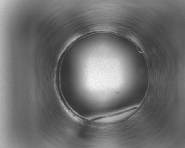 X0000063491139200602031945