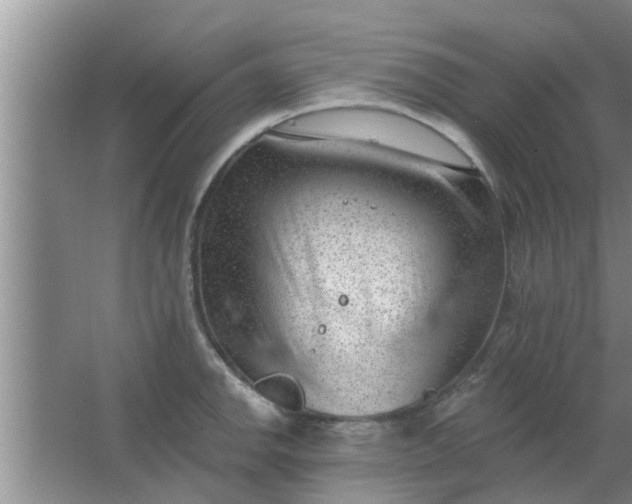 X0000063491142200602031945