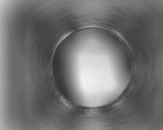 X0000063491145200602031945