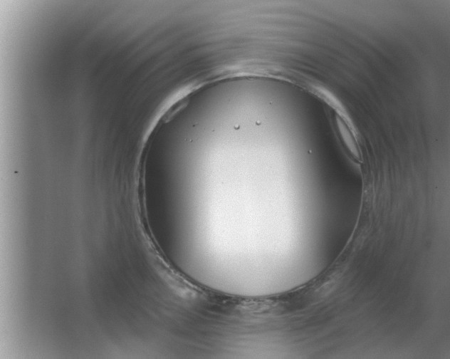 X0000063491146200602031945