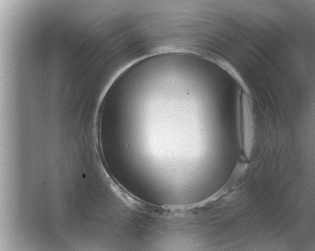 X0000063491148200602031945