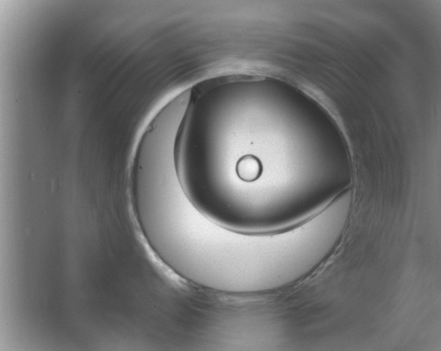 X0000063491152200602031945