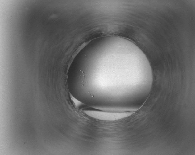 X0000063491153200602031944