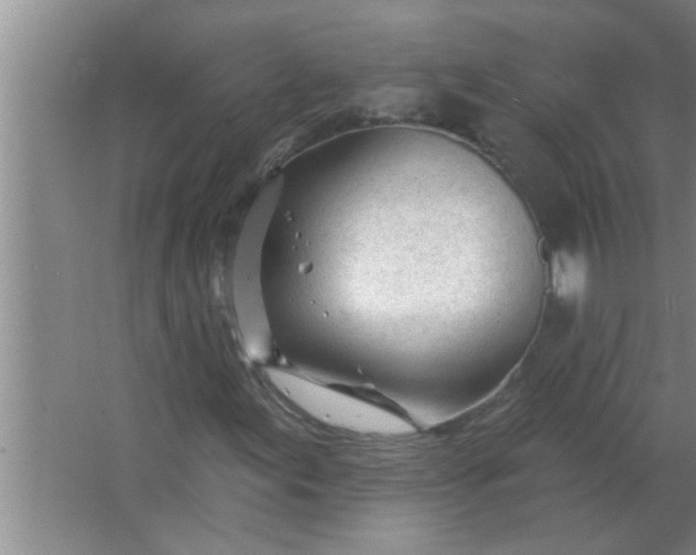 X0000063491155200602031944