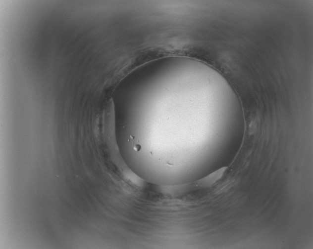 X0000063491156200602031944