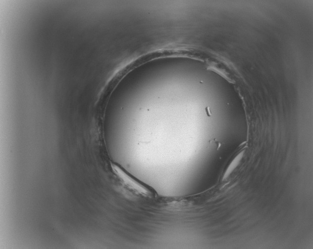 X0000063491160200602031944