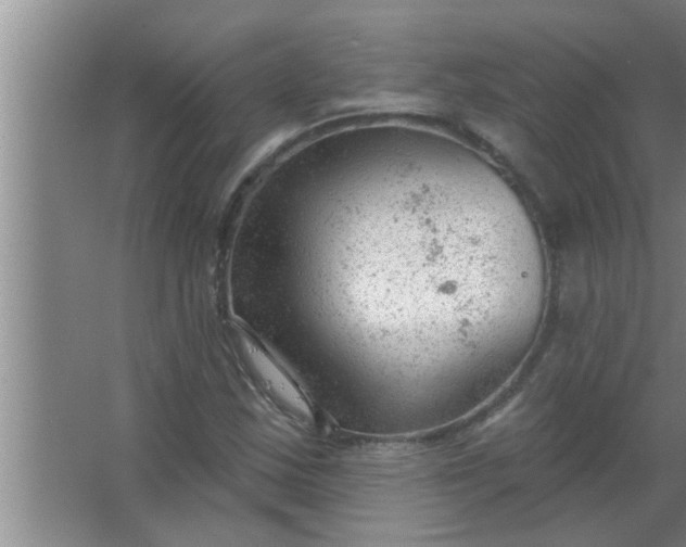 X0000063491163200602031944