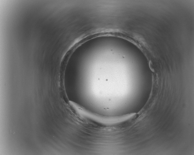 X0000063491165200602031944