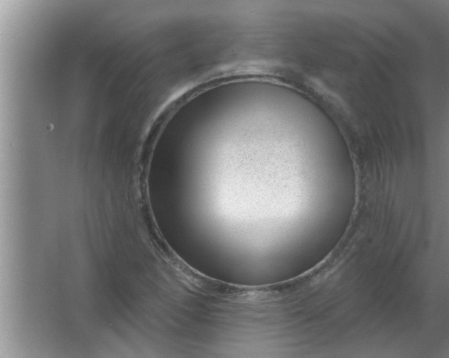 X0000063491166200602031944