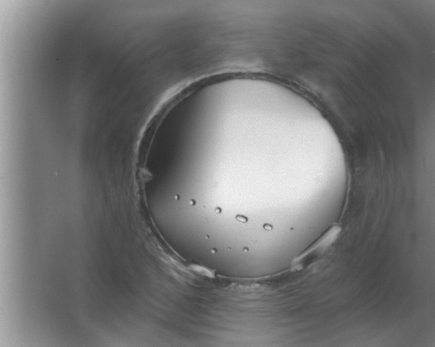 X0000063491168200602031944