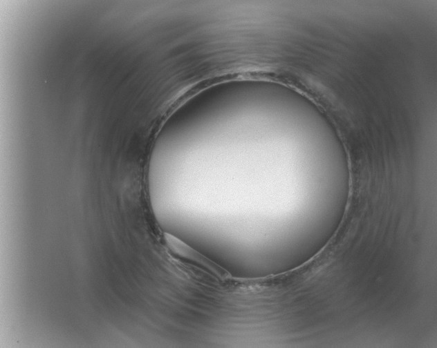 X0000063491169200602031944