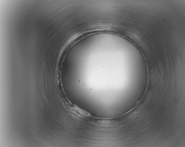 X0000063491172200602031944