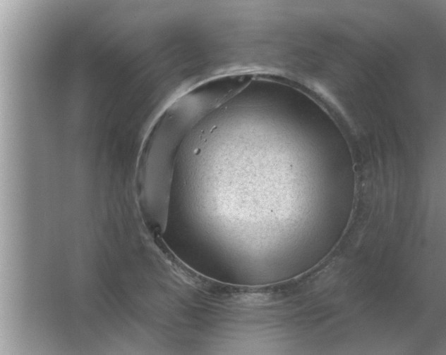 X0000063491173200602031944