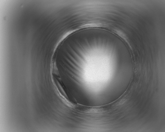 X0000063491179200602031944