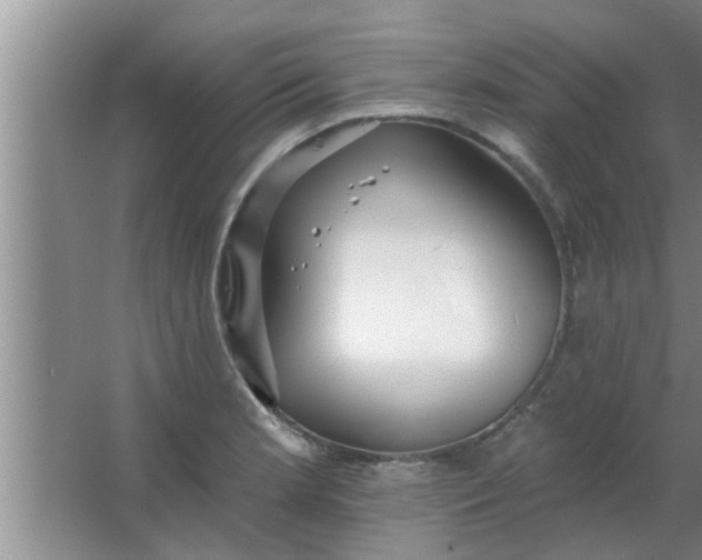 X0000063491181200602031944