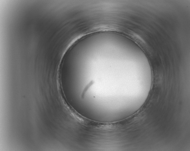 X0000063491182200602031944