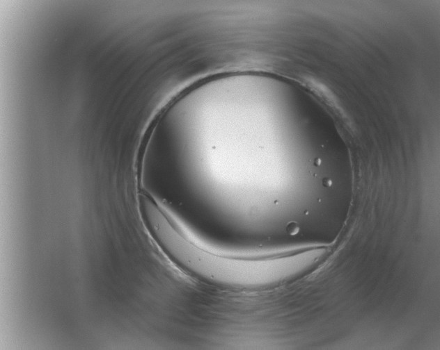 X0000063491184200602031944