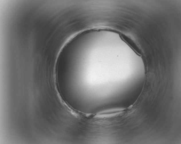 X0000063491191200602031943