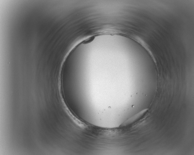 X0000063491195200602031943