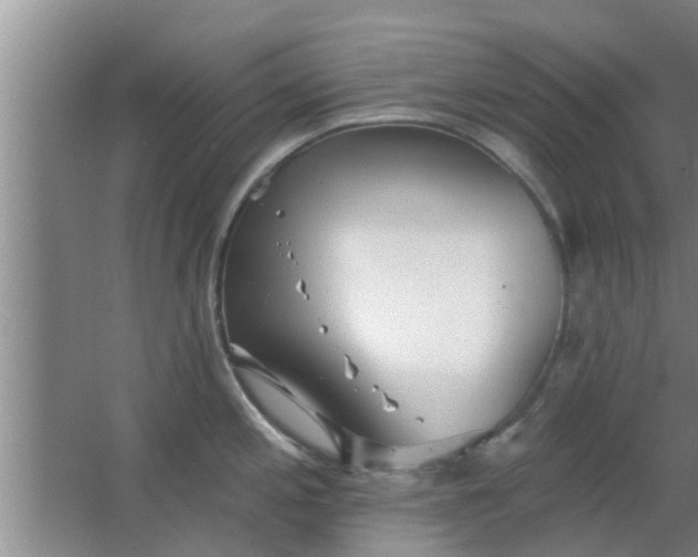 X0000063491197200602031943