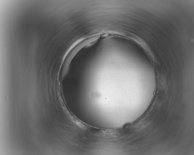 X0000063491198200602031943