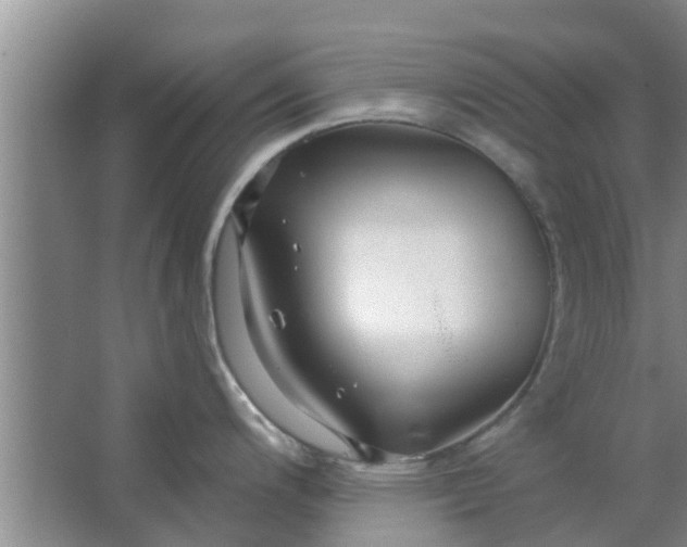 X0000063491200200602031943