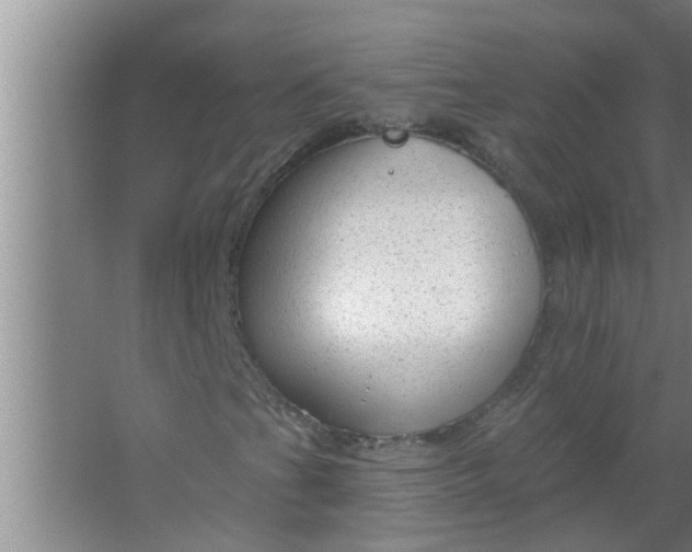 X0000063491201200602031942