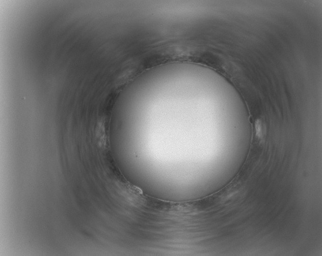 X0000063491203200602031942