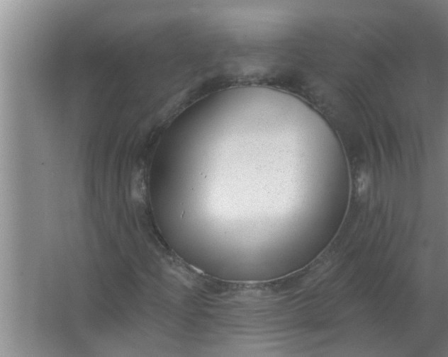 X0000063491204200602031942