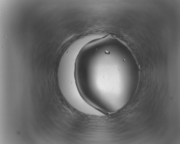 X0000063491206200602031943