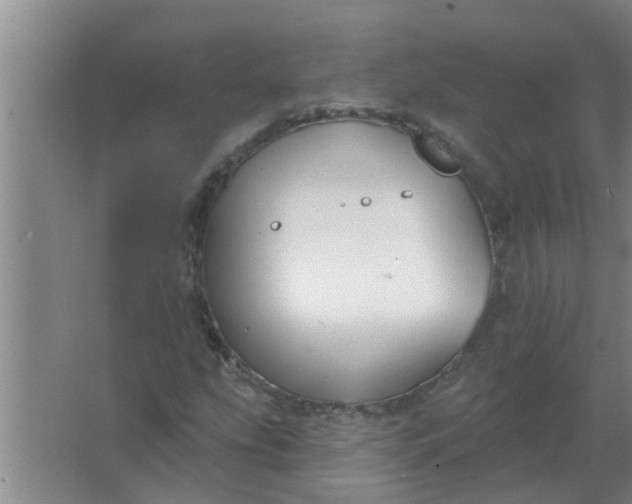 X0000063491207200602031943