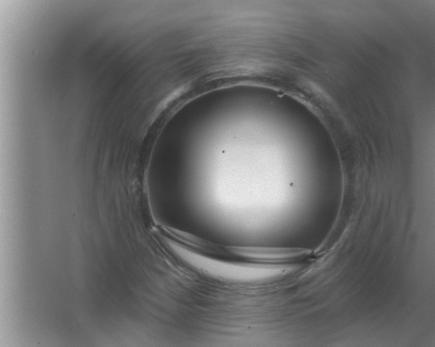 X0000063491210200602031943