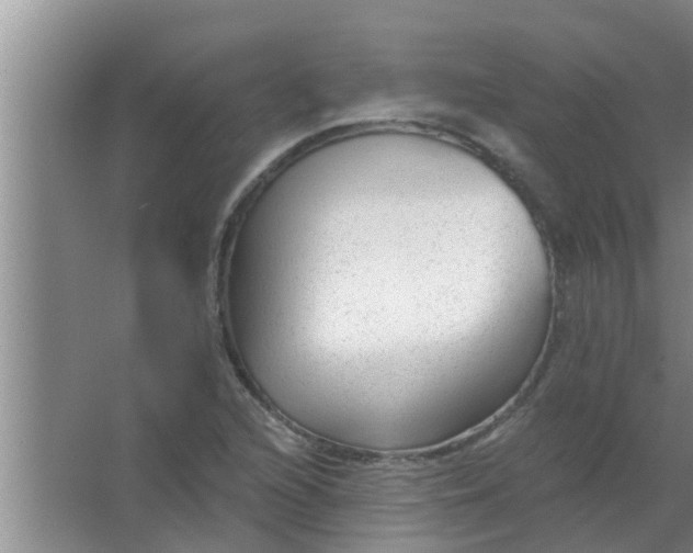 X0000063491216200602031943