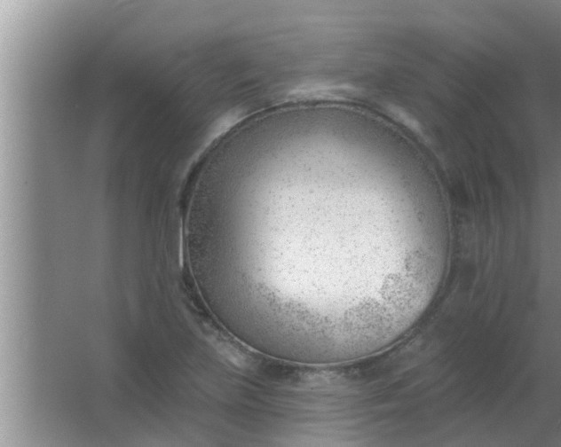 X0000063491219200602031943