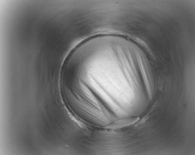 X0000063491231200602031943