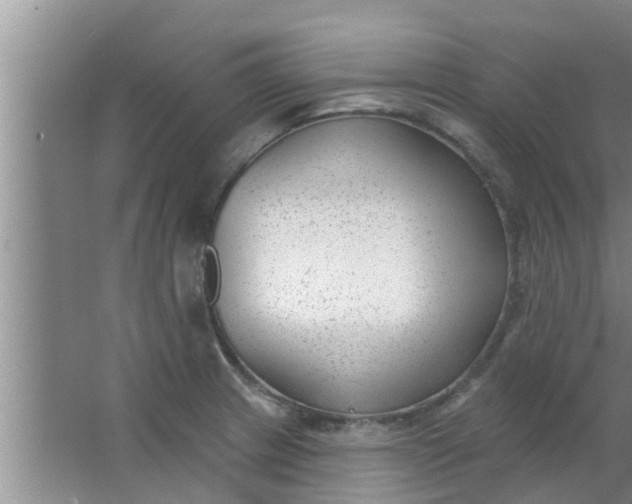 X0000063491233200602031943