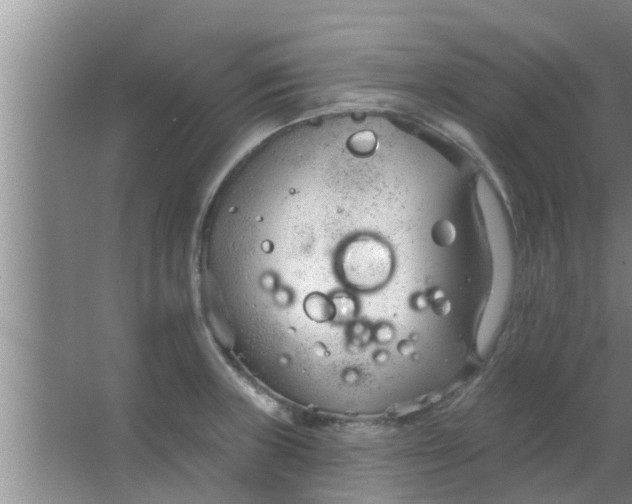 X0000063491235200602031943