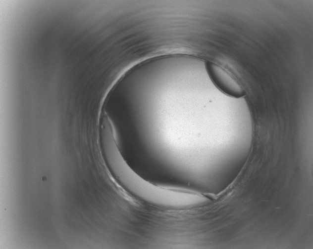 X0000063491236200602031943