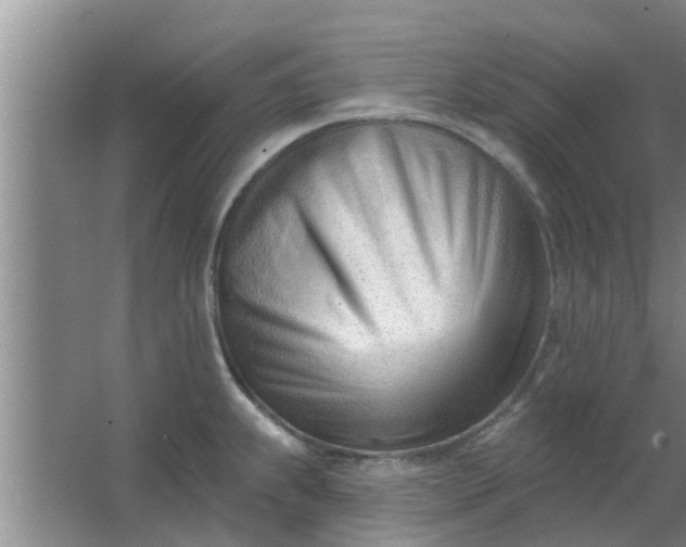 X0000063491239200602031943