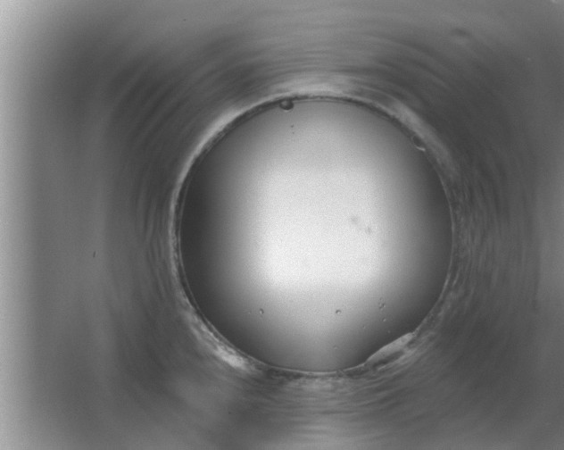 X0000063491240200602031943