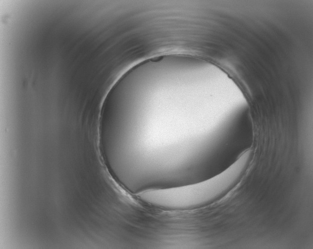 X0000063491244200602031943