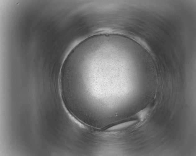 X0000063491247200602031943