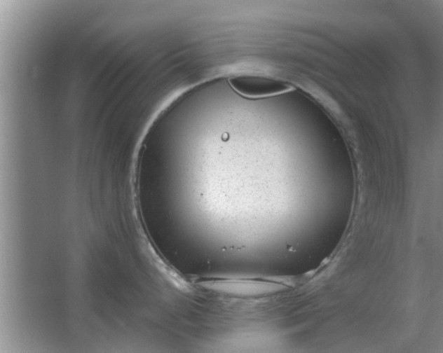 X0000063491248200602031943