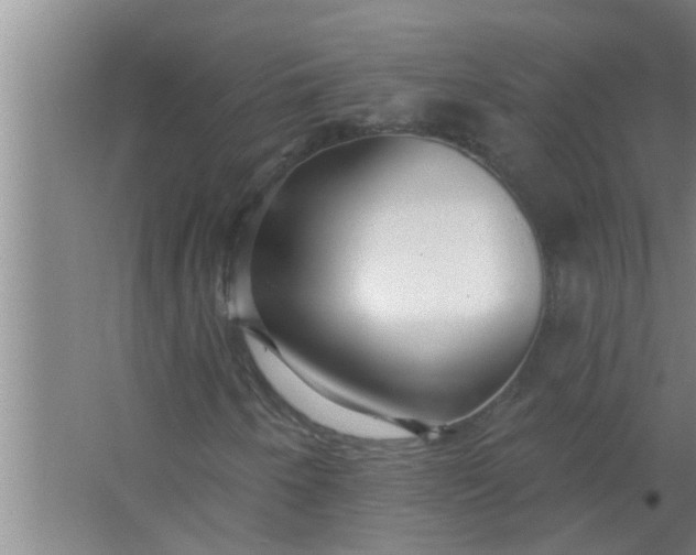 X0000063491250200602031942