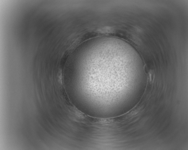 X0000063491251200602031942